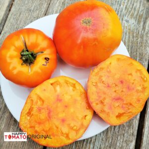 Mary Robinson's German tomato