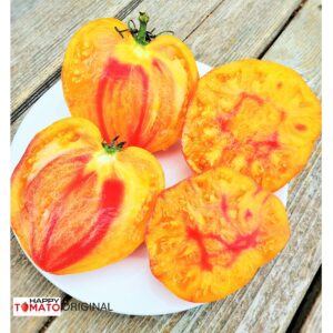 Medeo Golden Mountains (Zolotye gory Medeo) tomato