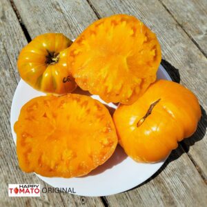 Orange Jazz tomato