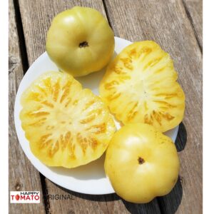 Swan Song (Lebedinaya Pesnya) tomato