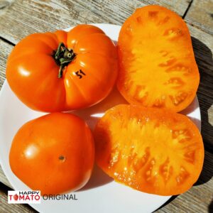 Wolf Sossi Orange tomato