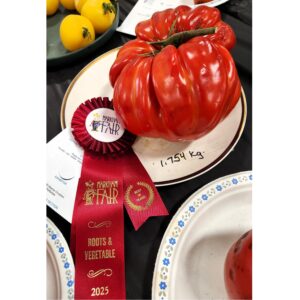 Gigante Farina Tomato