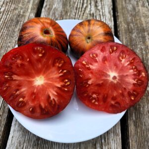 Red Beauty Tomato