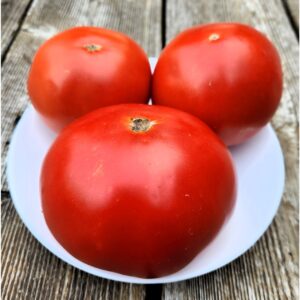 Ildan Tomato