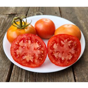Tabris Tomato