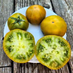 Dwarf Shamrock Tomato
