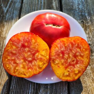 Virginia Surprise Tomato