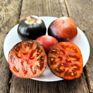 Dwarf Gondwana Thunder Tomato