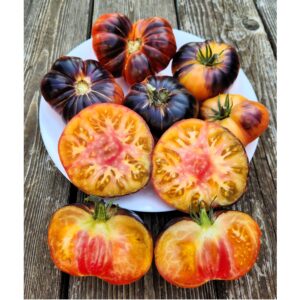 Italian Blue Tomato