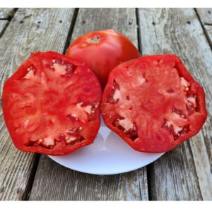 Chartres (Chartres Castle) Tomato