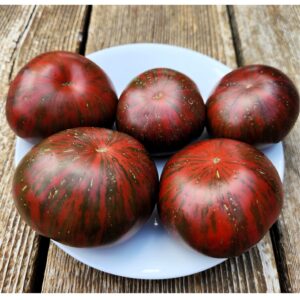 Gun Metal Grey Tomato
