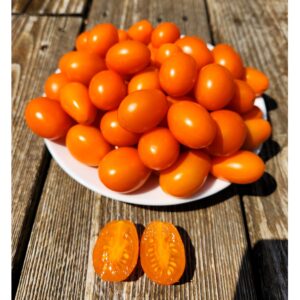 Piennolo Arancio Tomato, super sweet
