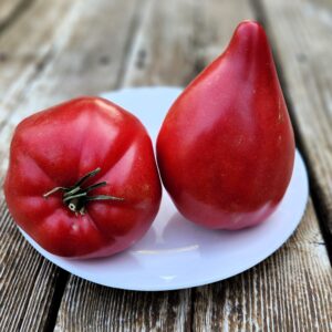Cuore di bue colli Euganei Tomato