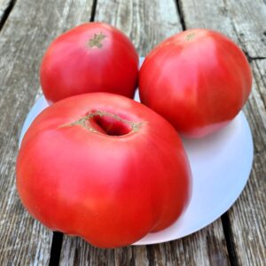 Tidwell German Tomato