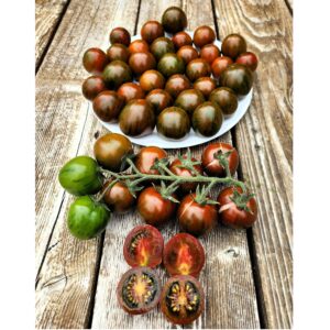 Kuro Suju Tomato
