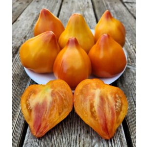 Tante Gretels Magische Hute Tomato